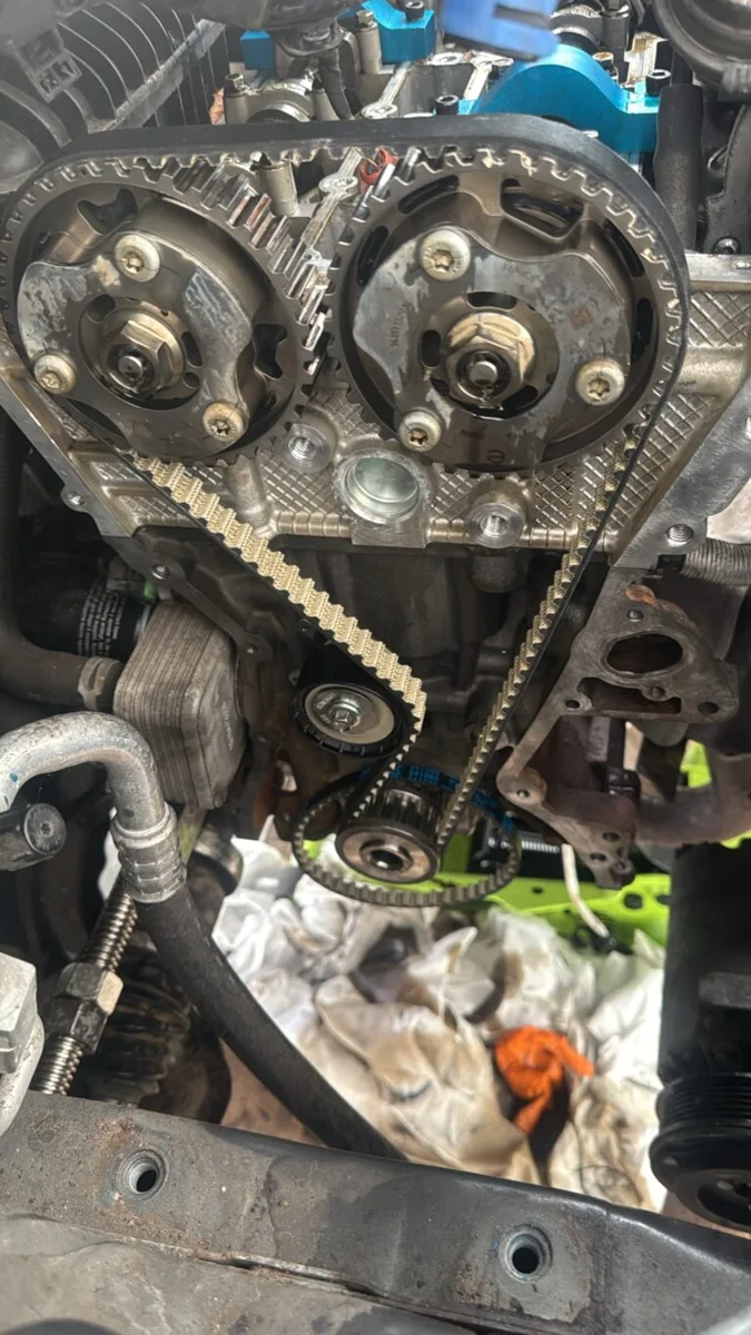 New wet belt on the cam pulleys of a Ford 1.0 EcoBoost